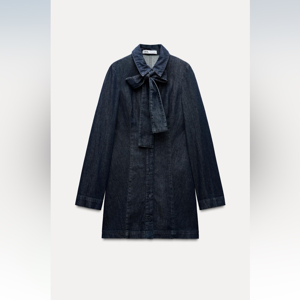 Zara Jean Dress